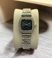 Caslex 250 Silver Gold Luxury Watch For Women