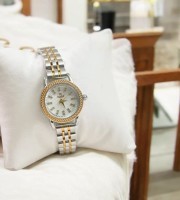 Caslex 2 Silver Gold Watch For Women
