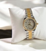 Caslex 17 Ash Gold Women Watch Price In Bangladesh